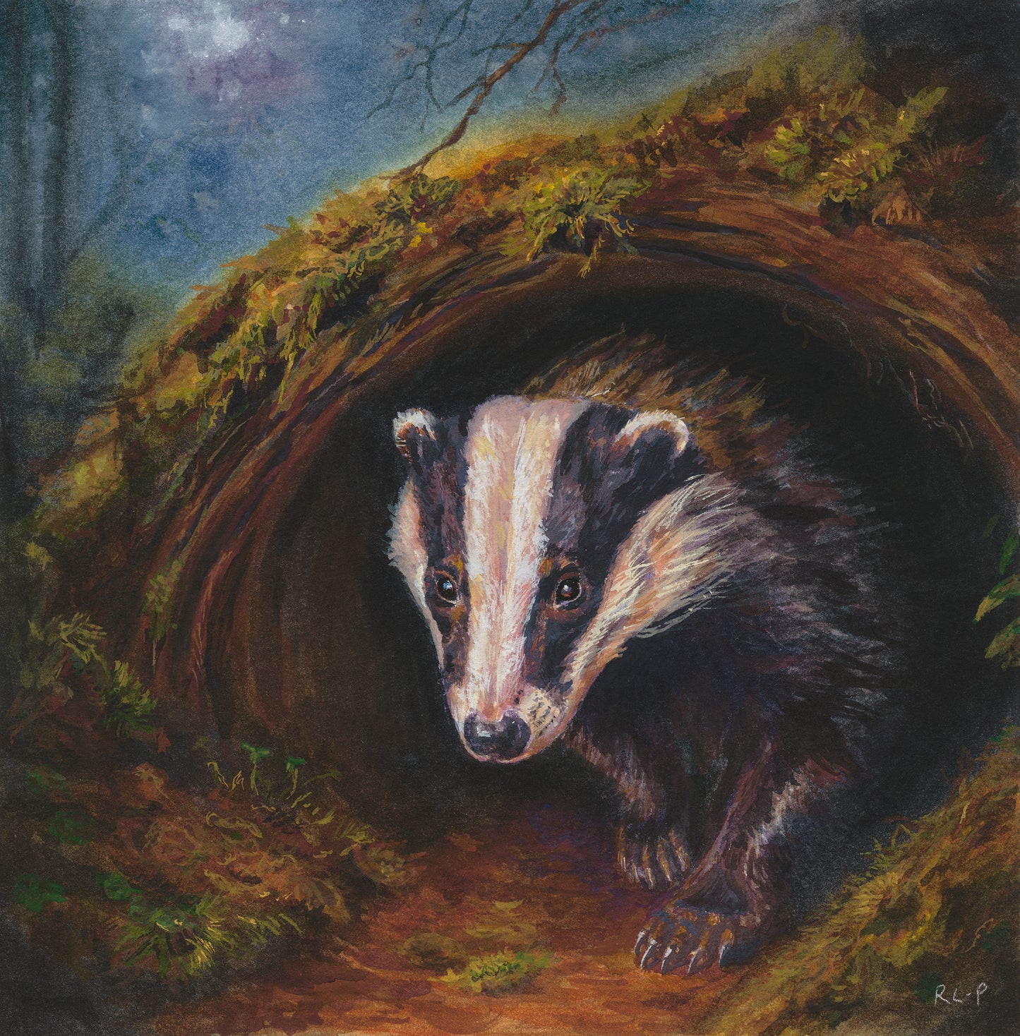 Twilight Badger - Limited Edition Fine Art Print - Medium