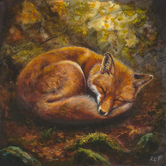Sleeping Fox - Limited Edition Fine Art Print - Medium