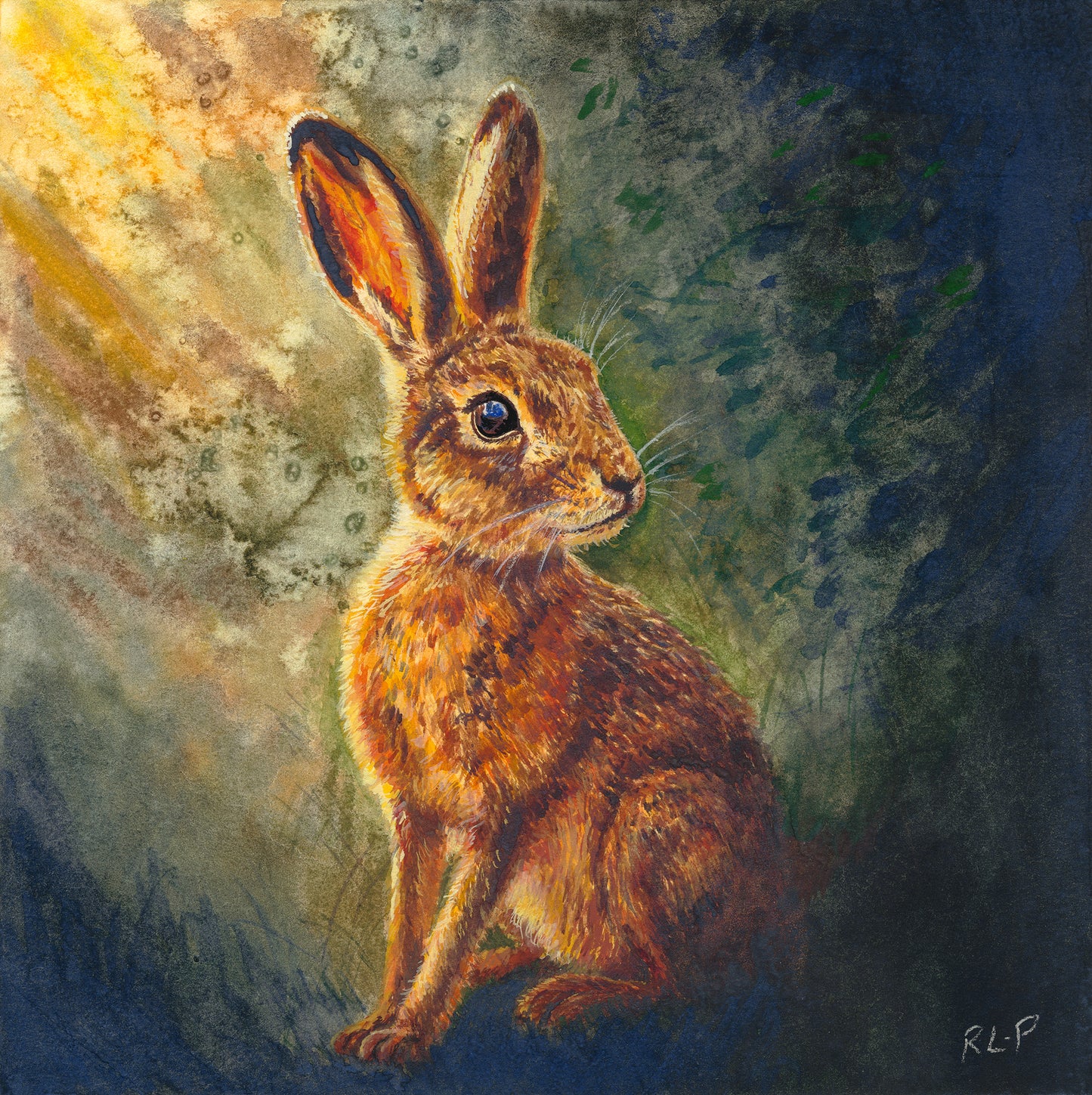 Sunlit Hare - Greeting Card