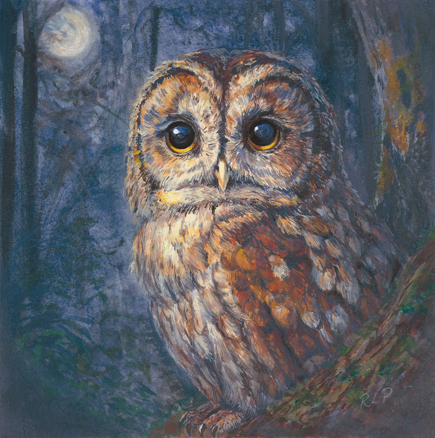 Night Owl - Limited Edition FIne Art Print - Medium