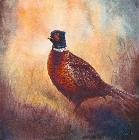 Dawn Pheasant - Limited Edition Fine Art Print - Medium